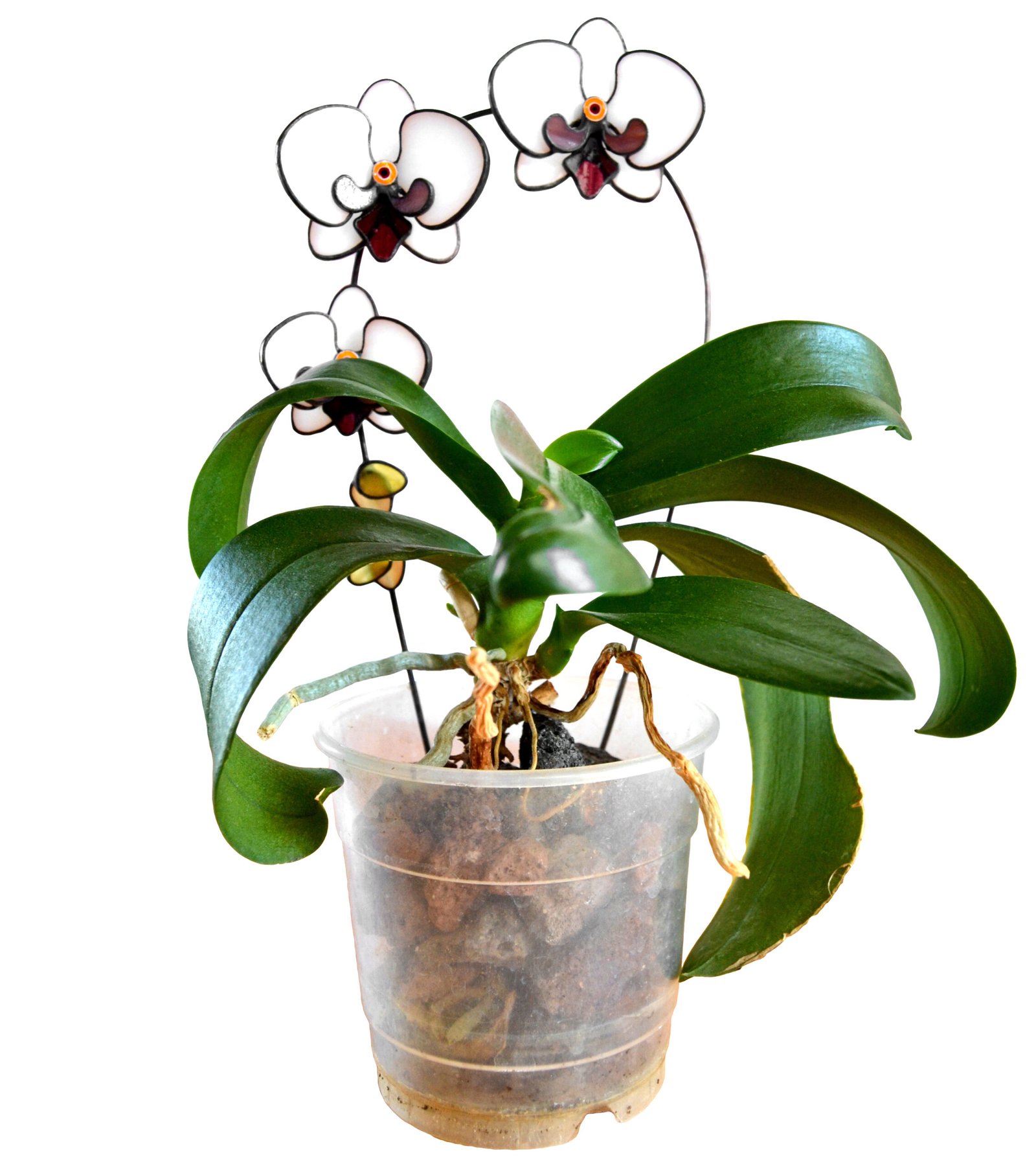 Imagen de una planta decorativa con detalles de vidrio que se entrelazan entre sus hojas, reflejando la luz con delicadeza y añadiendo un toque de brillo y sofisticación a cualquier espacio.