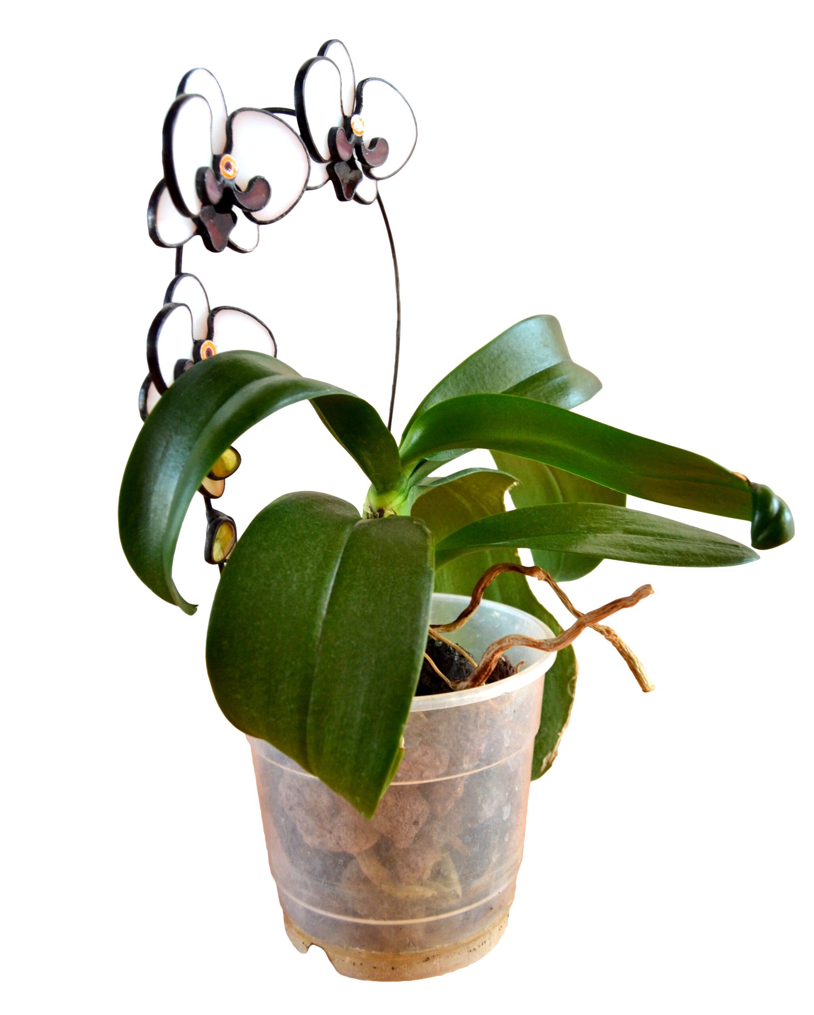 Imagen de una planta decorativa con detalles de vidrio que se entrelazan entre sus hojas, reflejando la luz con delicadeza y añadiendo un toque de brillo y sofisticación a cualquier espacio.