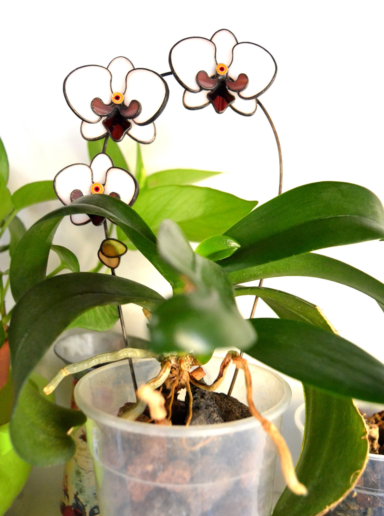 Imagen de una planta decorativa con detalles de vidrio que se entrelazan entre sus hojas, reflejando la luz con delicadeza y añadiendo un toque de brillo y sofisticación a cualquier espacio.